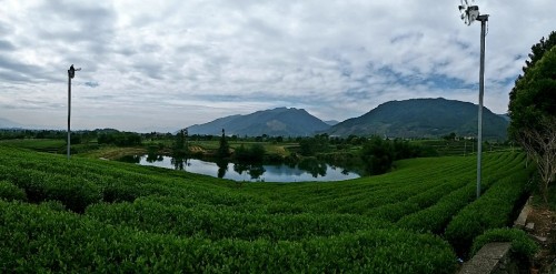 木凡言植多肉绿植园