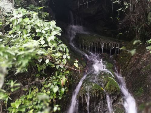 白龙洞