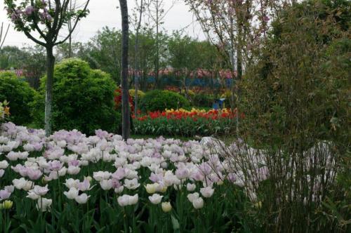 什邡花样年华景区