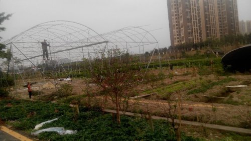 荔湾区海北东石桃花公园