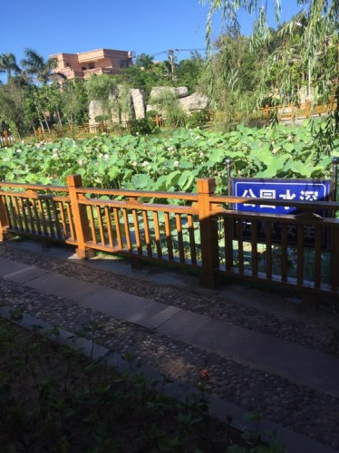 郑友尚公园