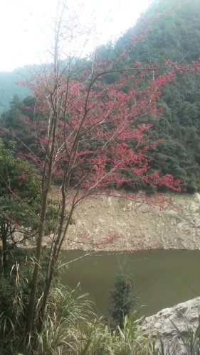 三关胜境