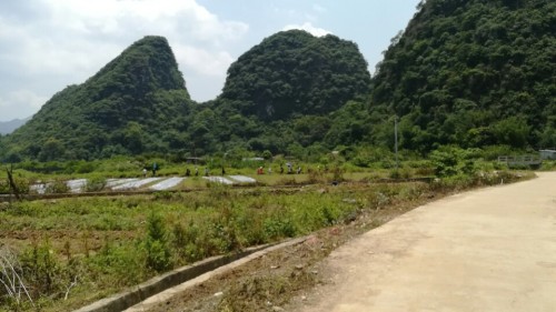 黄花公园