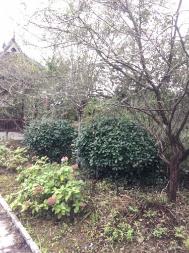 国家森林公园玉带峡景区