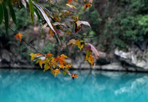 盘阳河风光