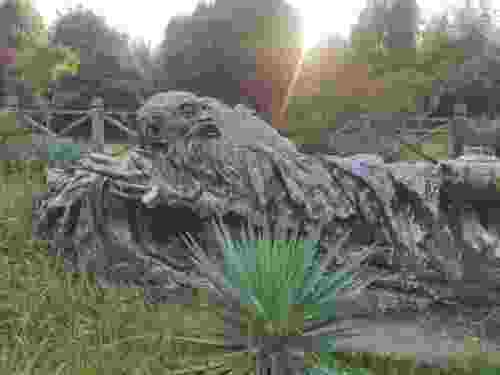 梦溪植物园