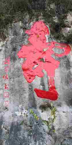 龙景玫瑰园
