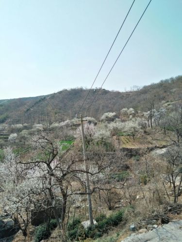 樱桃谷生态园游游览区