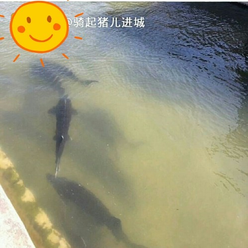明月山温泉公园