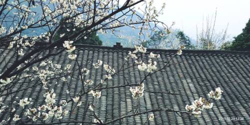 樱桃山旅游景区