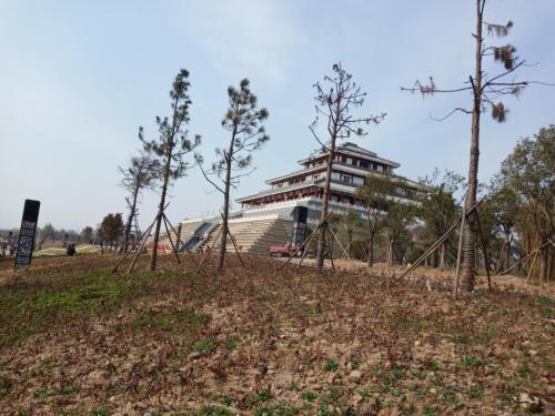 淇澳翠境园