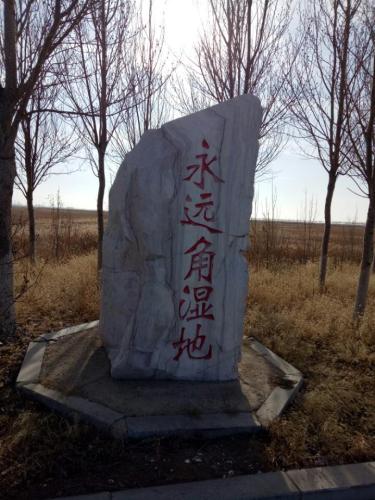 永远角湿地