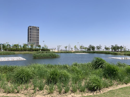 鹦鹉洲生态湿地