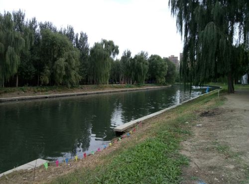 于洪怒江东公园