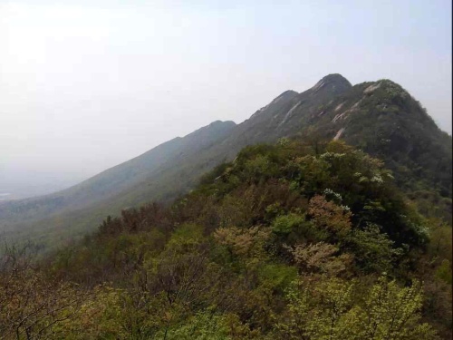 高骊山
