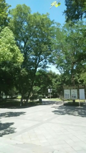 无为市绣溪公园