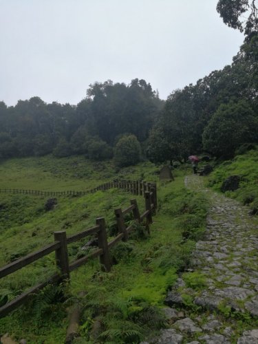 绿石林景区