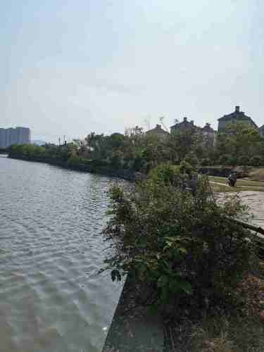 江滨公园·新河
