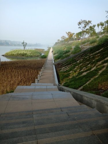 清溪湿地公园