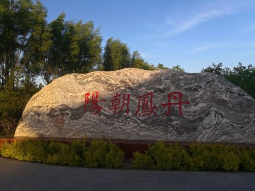灵芝公园