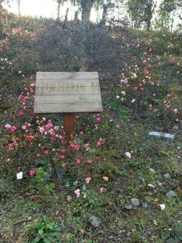 六盘水钟山区花山公园