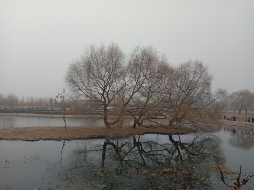 鸡龙河湿地公园