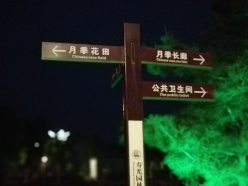 中国寿光月季园