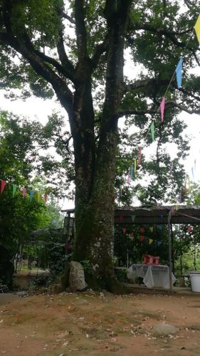 古森休闲景区