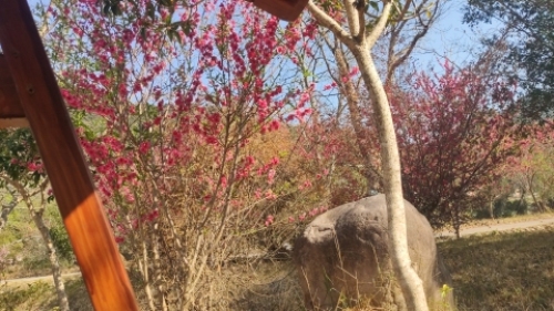 桃仙溪景区