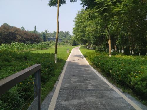 新民湿地公园