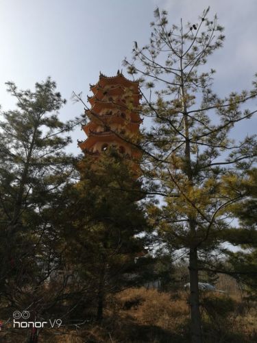 双龙湖湿地公园