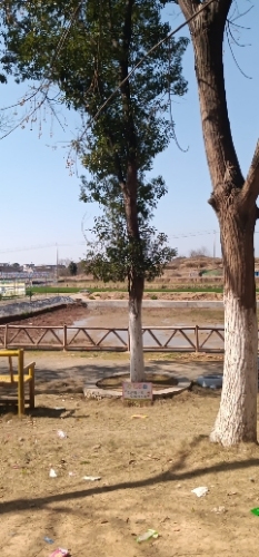 鄱阳湖国家旅游风景区-怡趣园