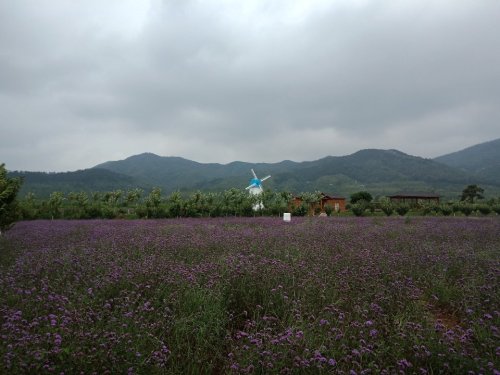 蒙山金伯利钻石矿景区