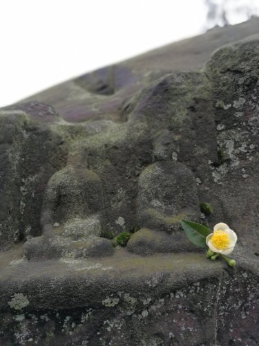 蒙顶山禅茶石