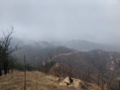 小园庙森林风景区