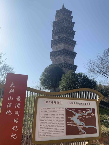 望江寺