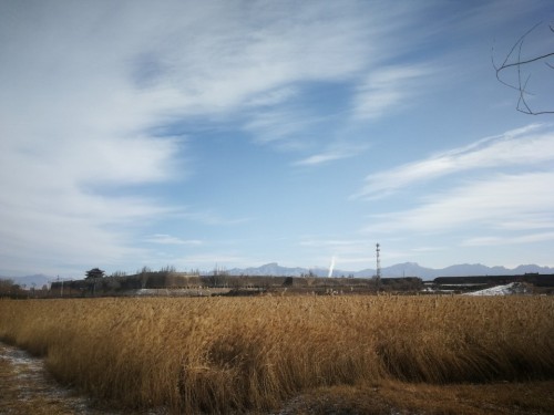 壶流河国家湿地公园