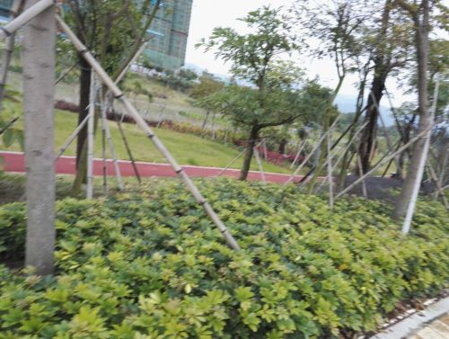 禹洲湿地公园