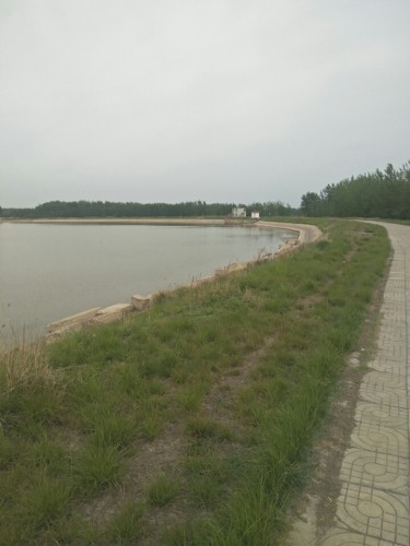 黄河十八湾生态园