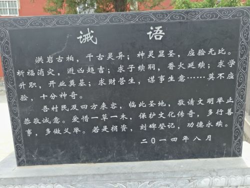 洪岩古柏