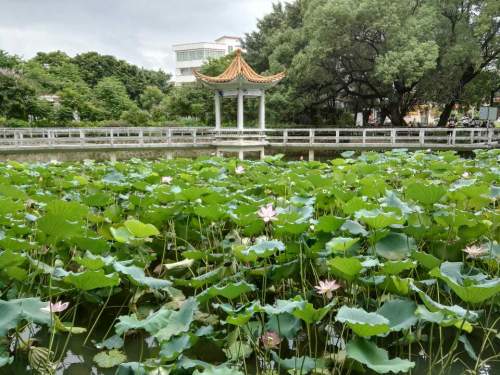 北约公园