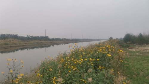 北海凤鸣鸟类湿地公园
