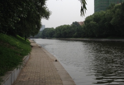 南运河带状公园