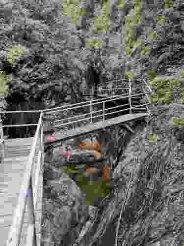 神龙山风景区(暂停开放)