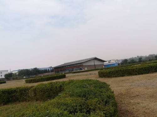 回洛仓遗址