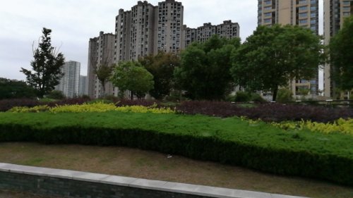 舜湖公园