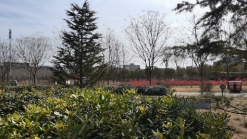 汝州古龙兴寺遗址公园