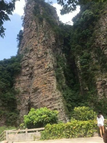 七星顶保护区