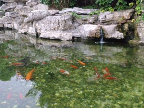 水木柴门