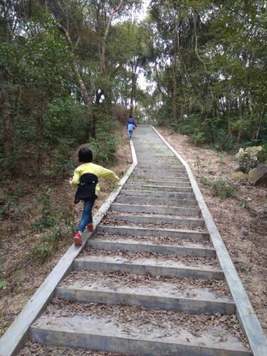 白云坡森林公园
